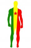 Drapeau du Cameroun élasthanne lycra zentai déguisement
