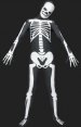 Squelette déguisement seconde peau élasthanne Lycra combi intégale