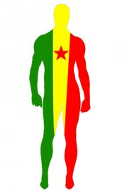 Drapeau du Cameroun élasthanne lycra zentai déguisement